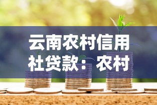 云南农村信用社贷款：农村信用社借贷政策有哪些新变化
