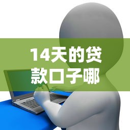 14天的贷款口子哪些，阐述5家2025最新融享花一样的平台