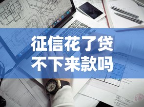 征信花了贷不下来款吗，五大2025最新失信人可以借钱的平台