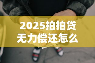 2025拍拍贷无力偿还怎么办，五大2025最新好批的小额贷款平台