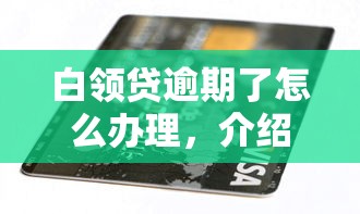 白领贷逾期了怎么办理，介绍五个2025最新互联网贷款平台