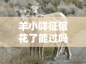 羊小咩征信花了能过吗，推荐五个2025最新好过的网贷平台