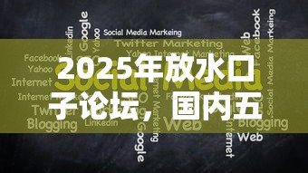 2025年放水口子论坛，国内五大2025最新投诉贷款平台