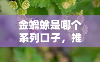 金蟾蜍是哪个系列口子，推荐五个2025最新所有网贷平台