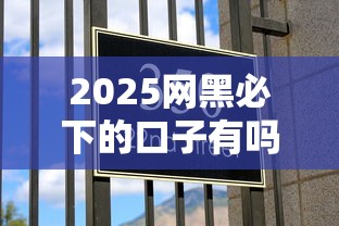 2025网黑必下的口子有吗，探讨五款2025最新征信花必过的平台