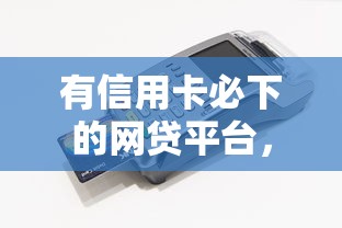 有信用卡必下的网贷平台，五大2025最新1000