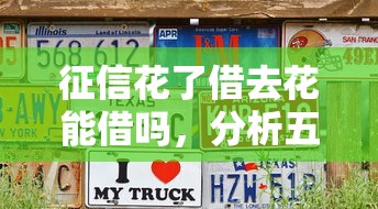 征信花了借去花能借吗，分析五个2025最新黑户借钱的平台100%能借