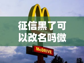 征信黑了可以改名吗微信，省内五个2025最新百分百下款口子