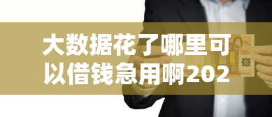 大数据花了哪里可以借钱急用啊2025，推荐五个2025最新公积金贷款的平台