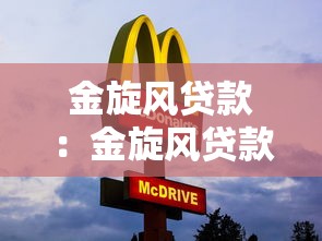 金旋风贷款：金旋风贷款产品靠谱吗