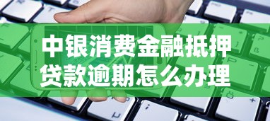 中银消费金融抵押贷款逾期怎么办理手续，汇总五个2025最新无视黑户的口子