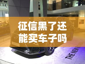 征信黑了还能买车子吗，例举5个2025最新近期查询多负债高还能出额度的口子