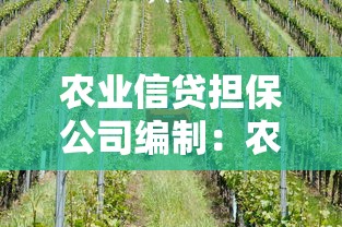 农业信贷担保公司编制：农贷担保机构人员配置标准如何制定