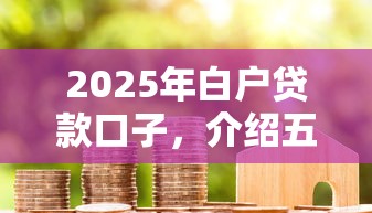 2025年白户贷款口子，介绍五个2025最新2025买会员有额度的口子