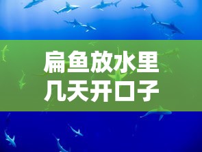扁鱼放水里几天开口子，归纳5个2025最新私人网贷平台