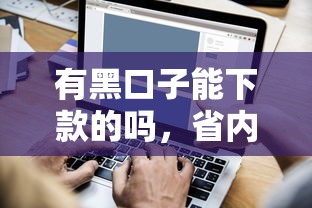 有黑口子能下款的吗，省内五个2025最新小微企业贷款平台