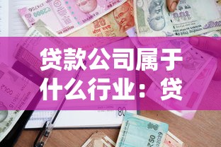 贷款公司属于什么行业：贷款机构通常归类于哪个经济领域