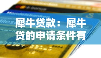 犀牛贷款：犀牛贷的申请条件有哪些