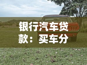 银行汽车贷款：买车分期付款需要哪些银行手续？