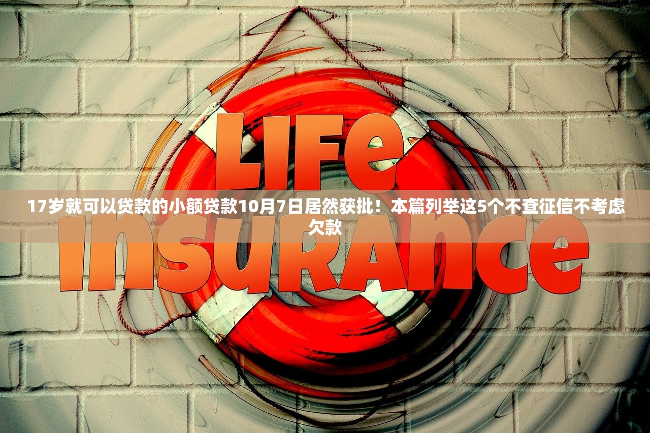 17岁就可以贷款的小额贷款10月7日居然获批！本篇列举这5个不查征信不考虑欠款