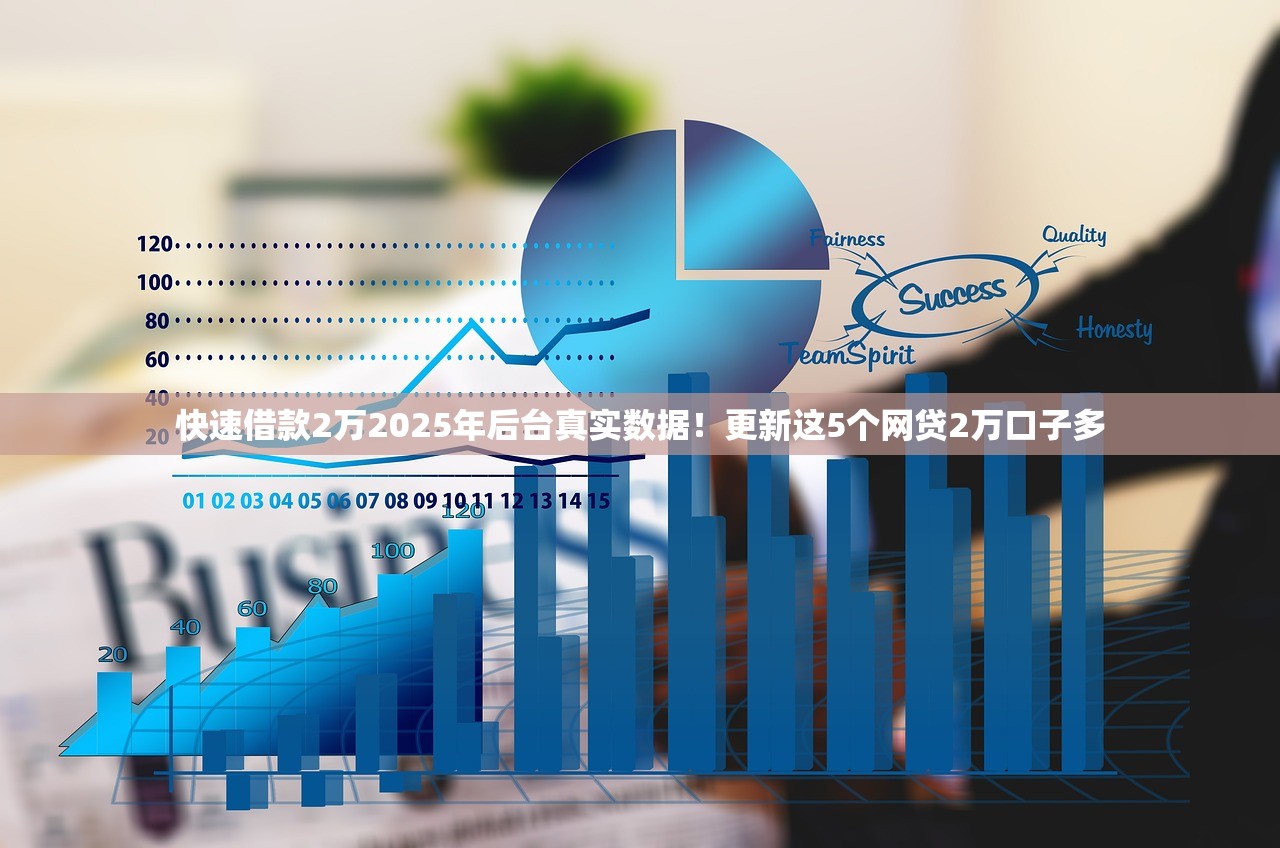 快速借款2万2025年后台真实数据！更新这5个网贷2万口子多