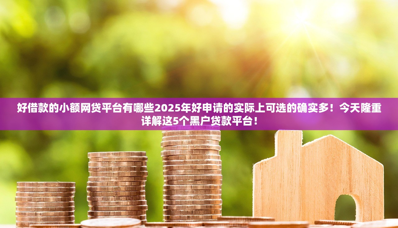 好借款的小额网贷平台有哪些2025年好申请的实际上可选的确实多！今天隆重详解这5个黑户贷款平台！