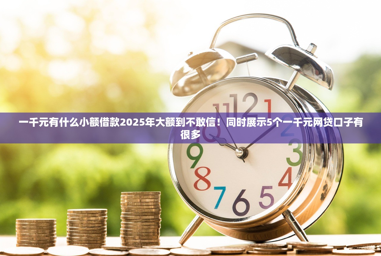 一千元有什么小额借款2025年大额到不敢信！同时展示5个一千元网贷口子有很多