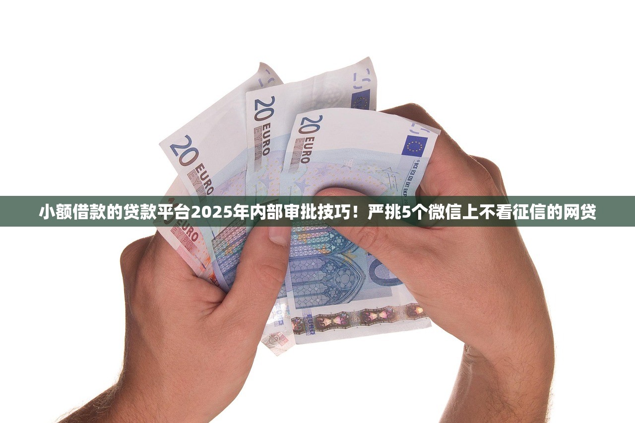 小额借款的贷款平台2025年内部审批技巧！严挑5个微信上不看征信的网贷