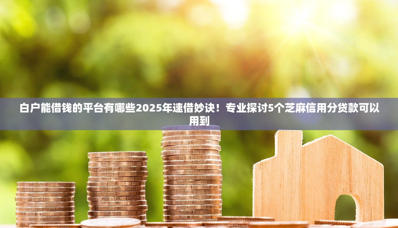 白户能借钱的平台有哪些2025年速借妙诀！专业探讨5个芝麻信用分贷款可以用到