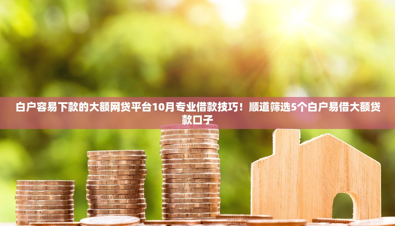 白户容易下款的大额网贷平台10月专业借款技巧！顺道筛选5个白户易借大额贷款口子