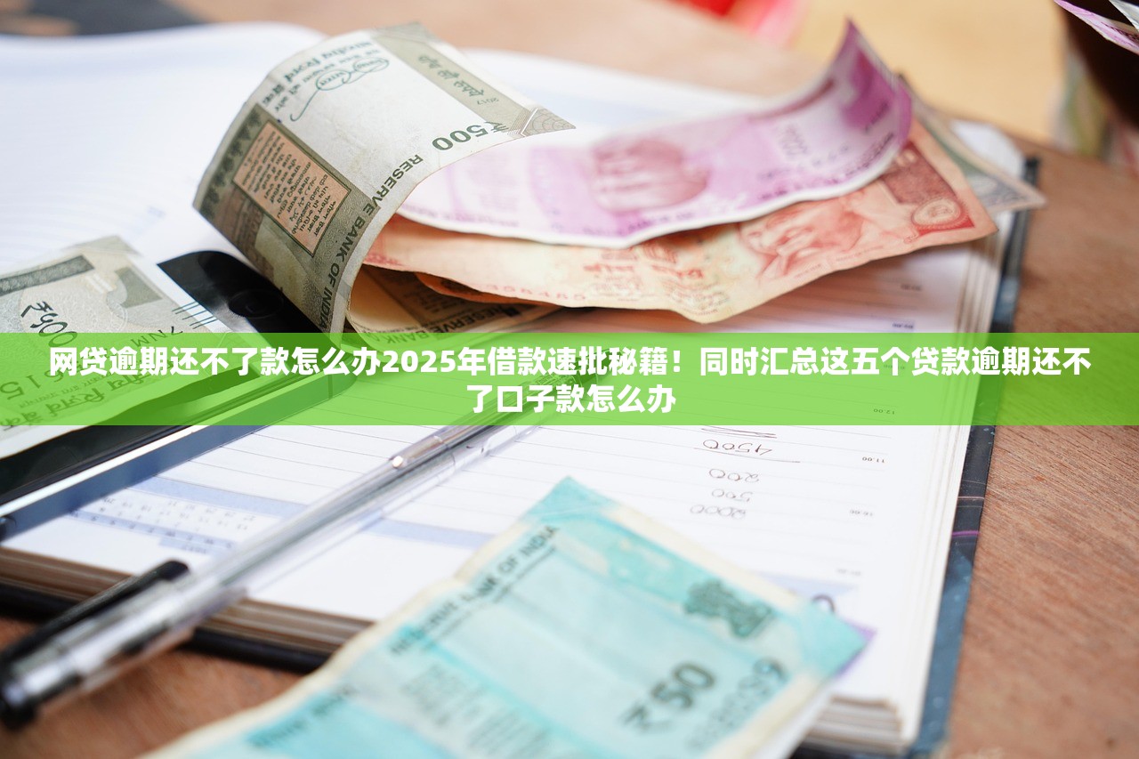 网贷逾期还不了款怎么办2025年借款速批秘籍！同时汇总这五个贷款逾期还不了口子款怎么办
