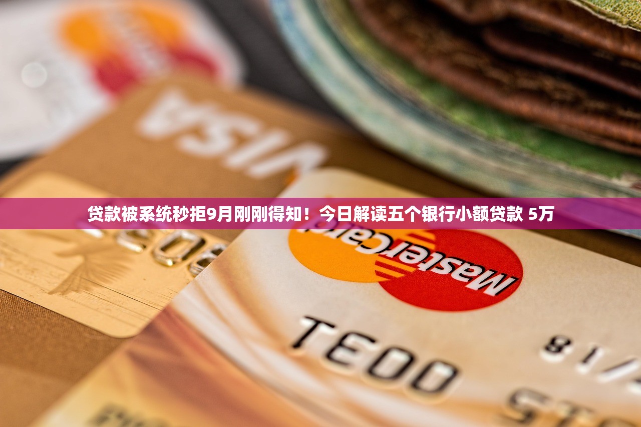贷款被系统秒拒9月刚刚得知！今日解读五个银行小额贷款 5万