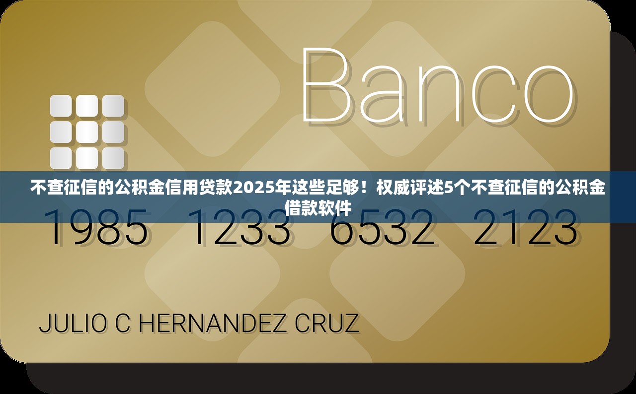 不查征信的公积金信用贷款2025年这些足够！权威评述5个不查征信的公积金借款软件