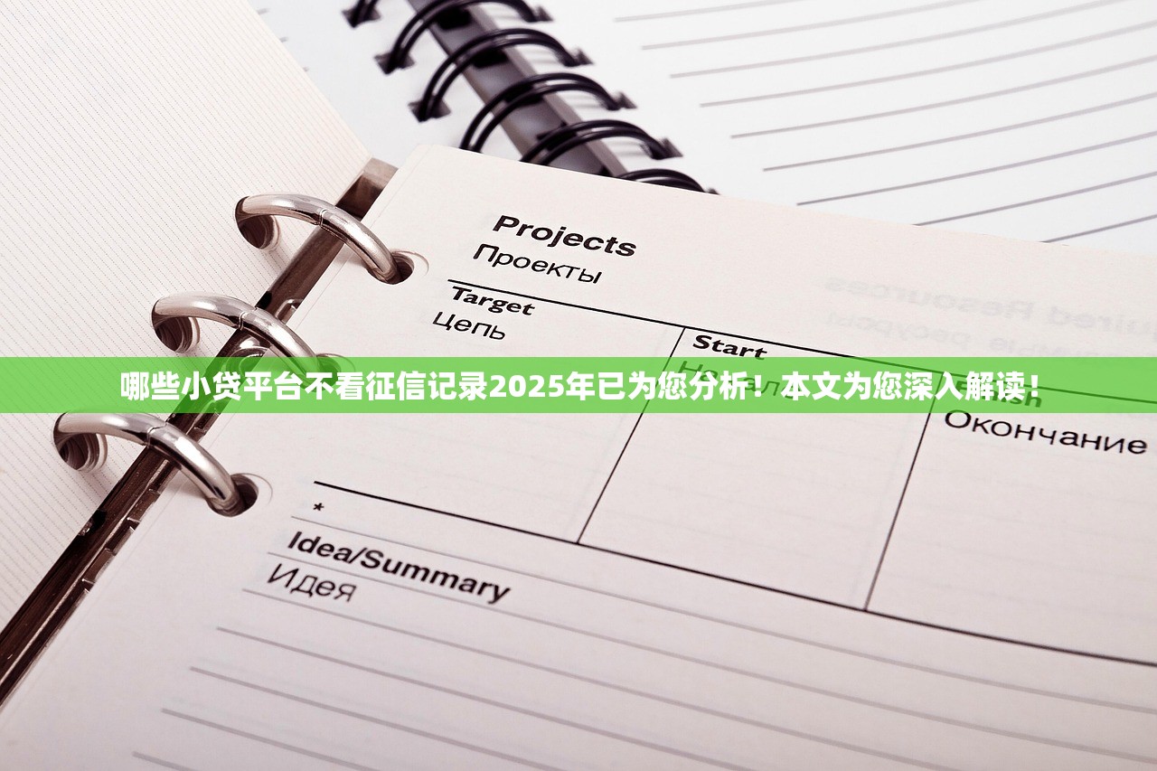 哪些小贷平台不看征信记录2025年已为您分析！本文为您深入解读！