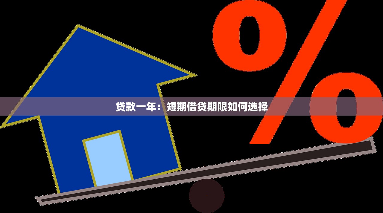 贷款一年：短期借贷期限如何选择