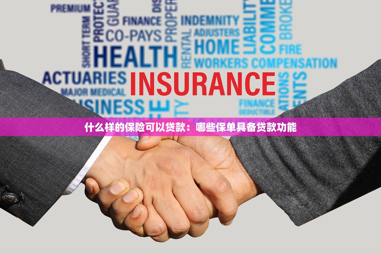 什么样的保险可以贷款：哪些保单具备贷款功能