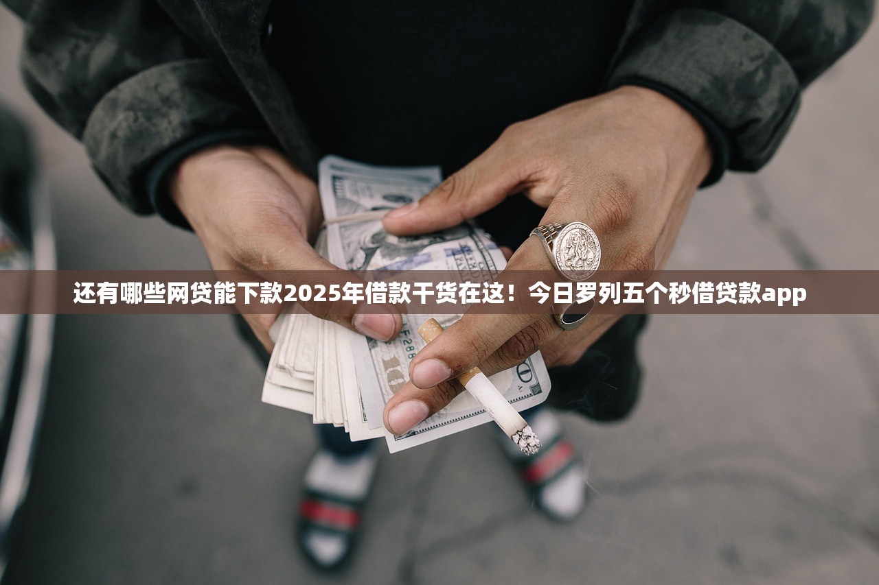 还有哪些网贷能下款2025年借款干货在这！今日罗列五个秒借贷款app
