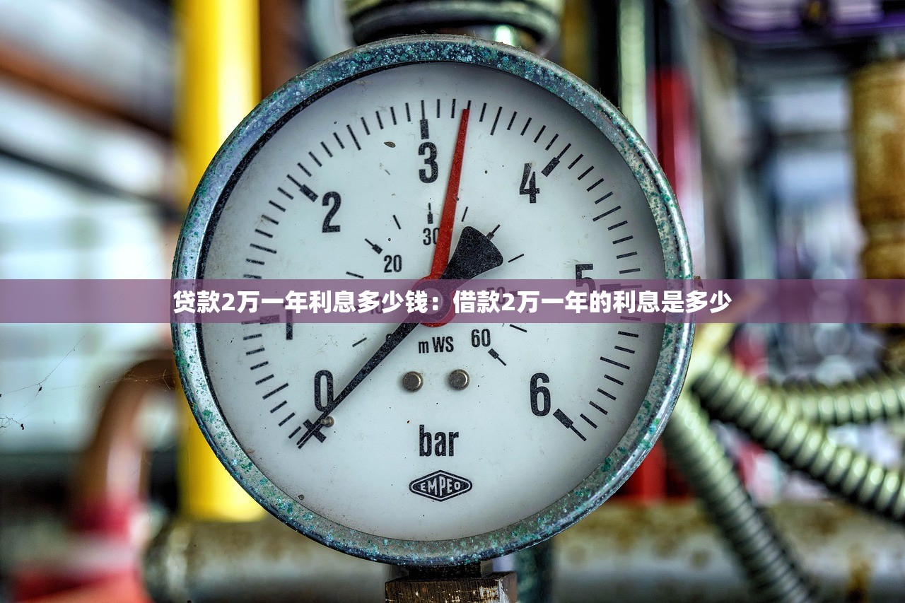 贷款2万一年利息多少钱：借款2万一年的利息是多少