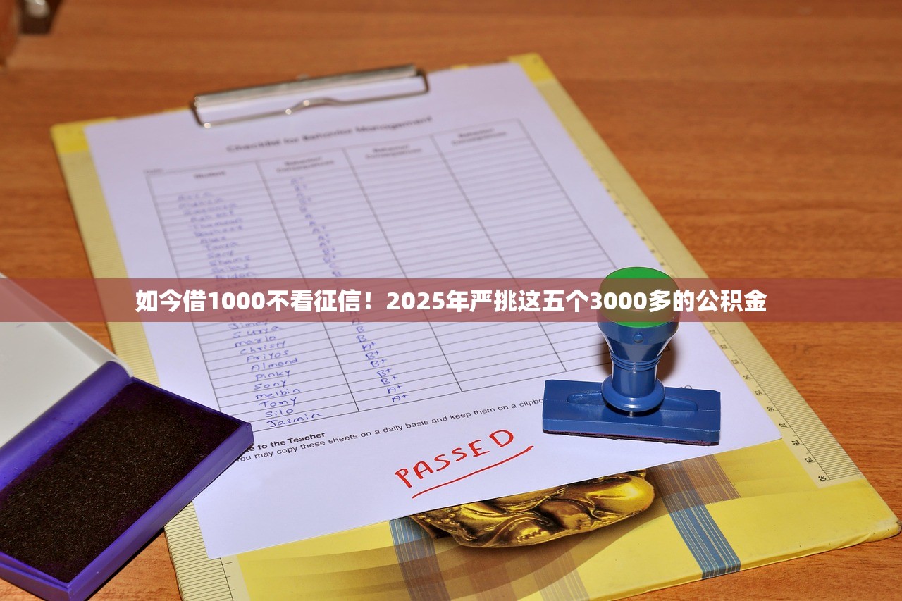 如今借1000不看征信！2025年严挑这五个3000多的公积金