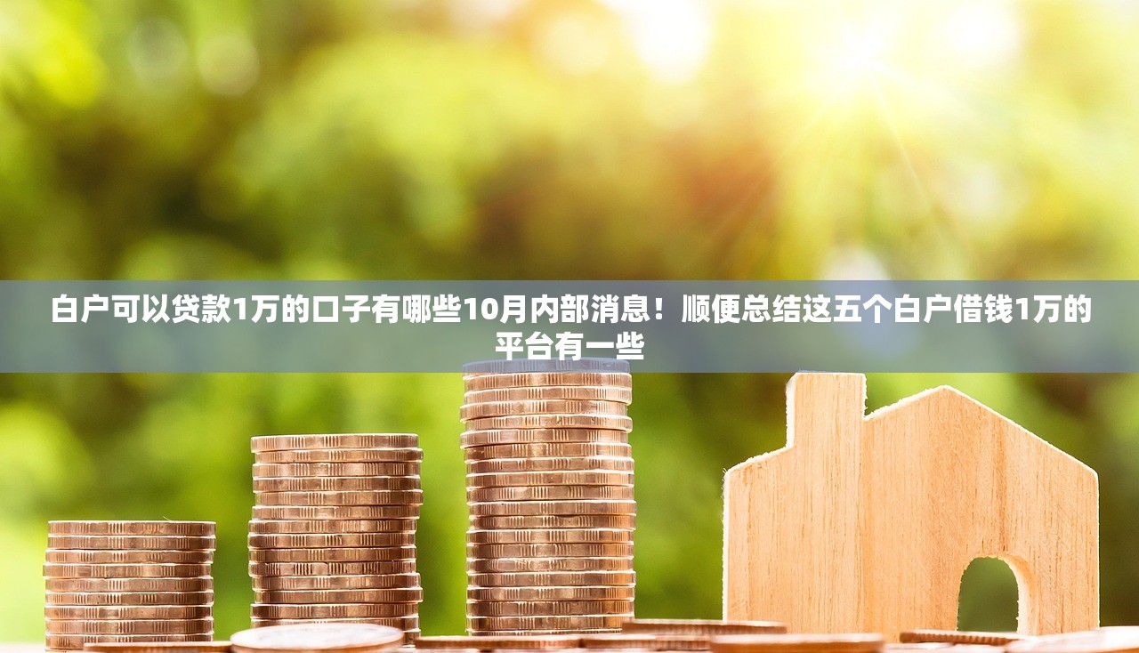 白户可以贷款1万的口子有哪些10月内部消息！顺便总结这五个白户借钱1万的平台有一些