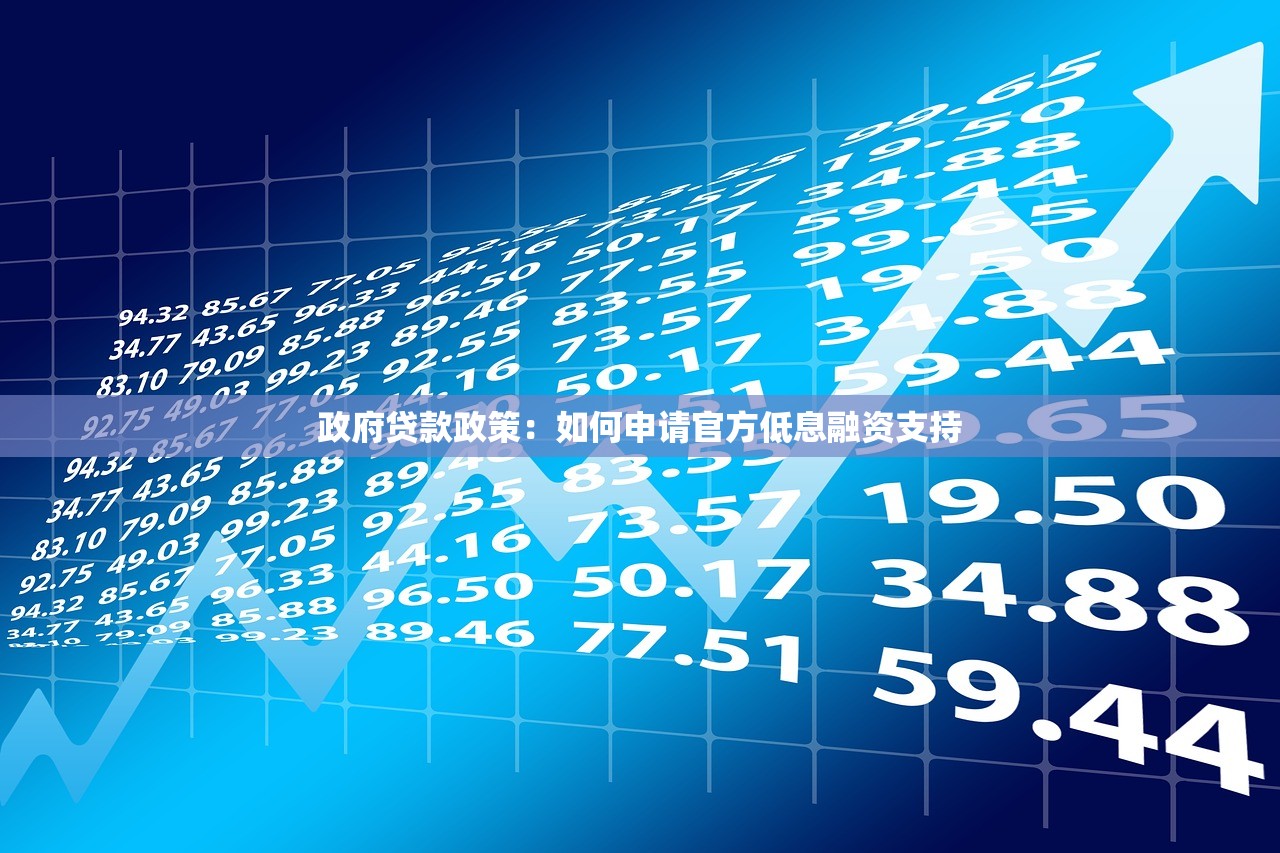 政府贷款政策：如何申请官方低息融资支持