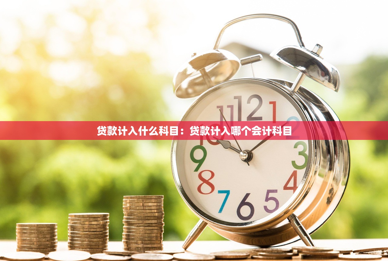 贷款计入什么科目：贷款计入哪个会计科目