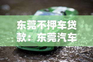 东莞不押车贷款：东莞汽车绿本抵押能快速放款吗