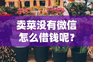 卖菜没有微信怎么借钱呢？十大花儿朵朵贷款平台官网推荐