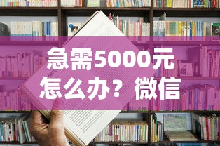 急需5000元怎么办？微信怎么支付借钱试试这5个无门槛平台