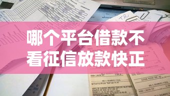哪个平台借款不看征信放款快正规选哪个平台？5个最容易的贷款平台推荐