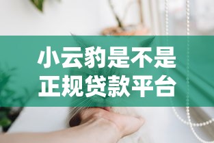 小云豹是不是正规贷款平台呢的话，可以看看这6个不看征信正规的小额贷款平台