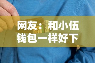 网友：和小伍钱包一样好下款的？求介绍几款严重逾期还能借到款的平台