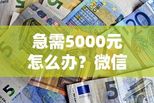 急需5000元怎么办？微信有什么可以借钱试试这8个无门槛平台