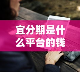 宜分期是什么平台的钱？7个支持下款到微信的无视逾期秒下100%款的口子